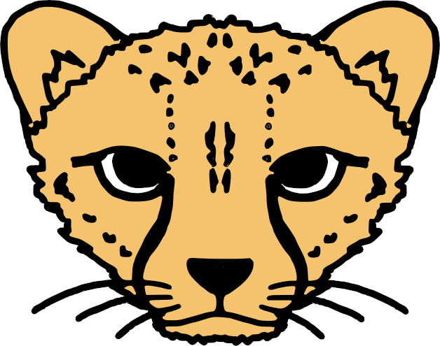 Logo Cheetah Studio