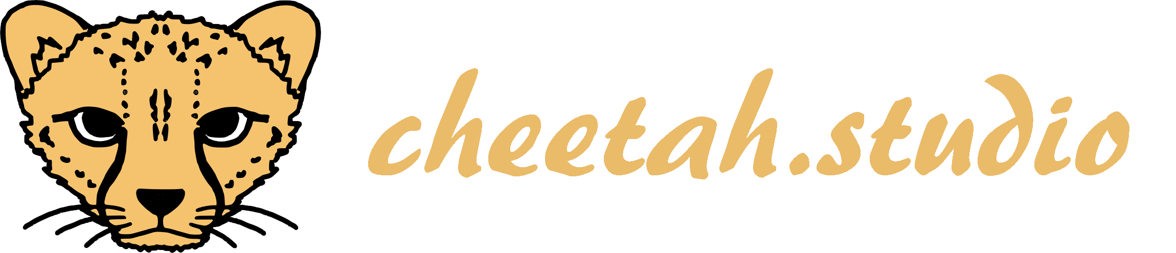 Logo Cheetah Studio